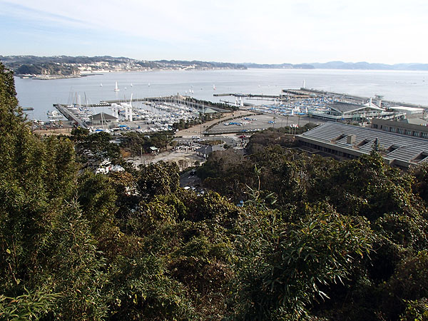 江ノ島展望台からの景色